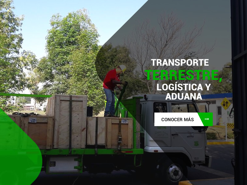 Nuestros servicios